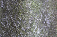 Saunton fibreglass roof work